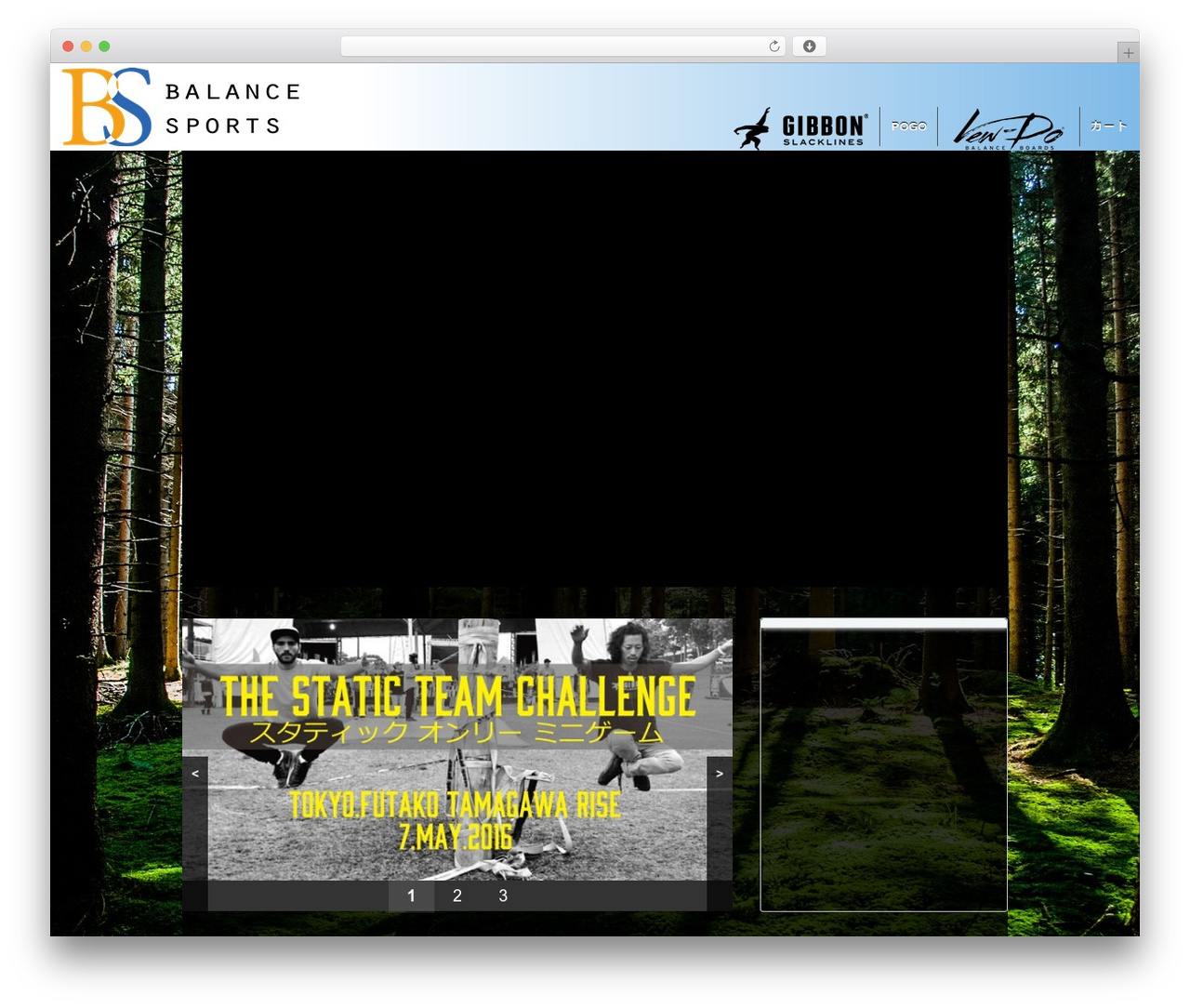 WordPress theme Responsive - balance-sports.com