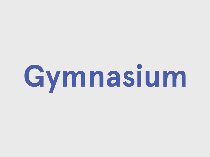 Gymnasium fitness WordPress theme