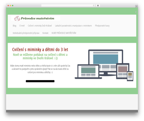 Lightning Monkey theme WordPress - pruvodcematerstvim.cz