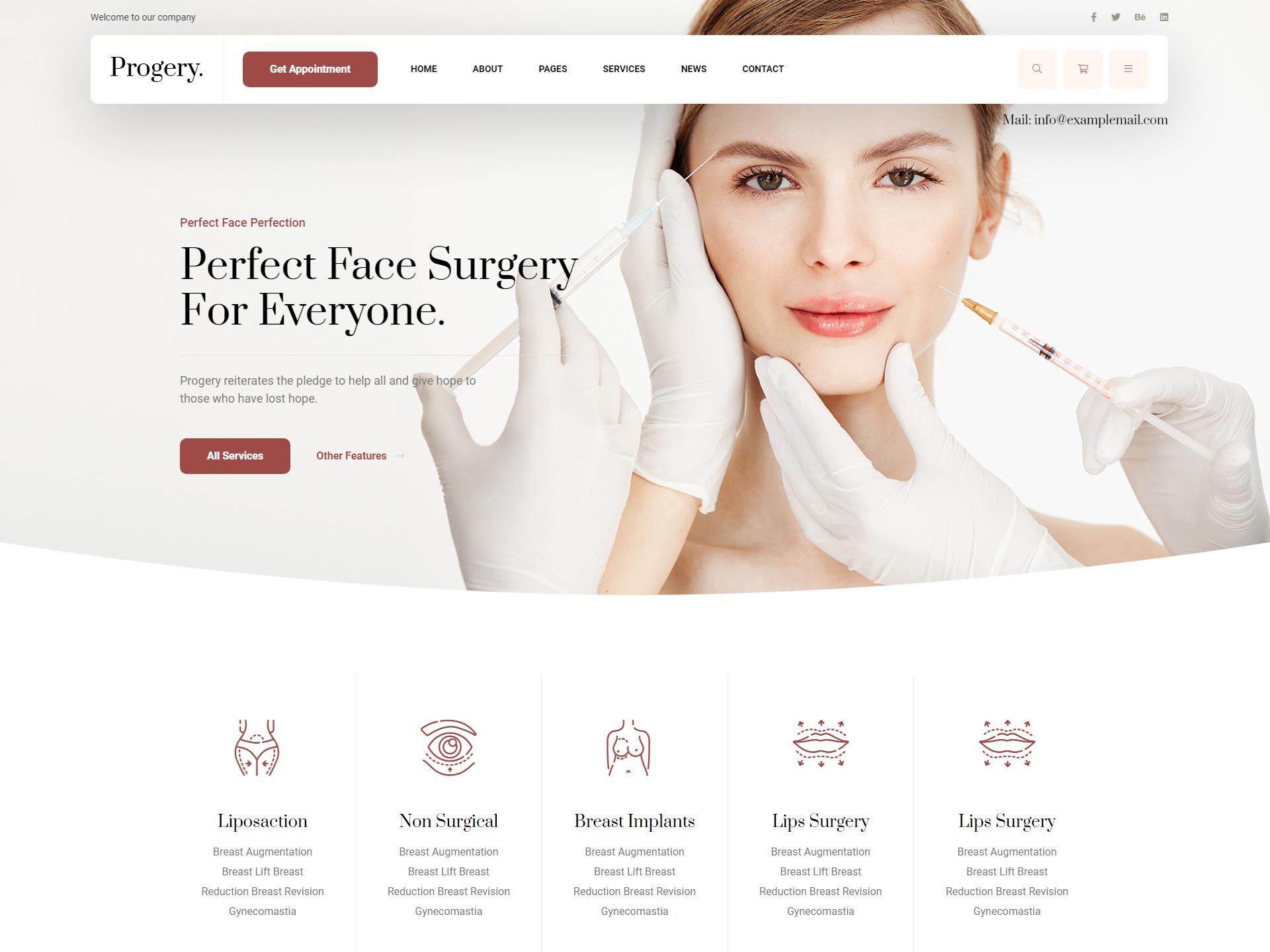 Progery WordPress theme by bdevs