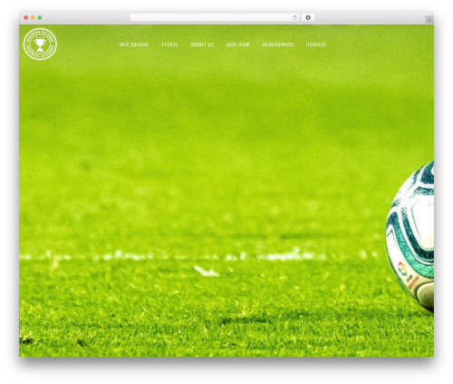WordPress theme Hello Elementor - westernvicfootball.com