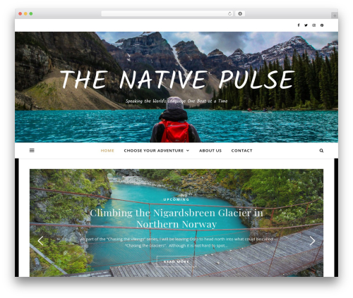 Faster Pagination (faster-pagination) free WordPress plugin - thenativepulse.com Faster Pagination (faster-pagination) free WordPress plugin - thenativepulse.com