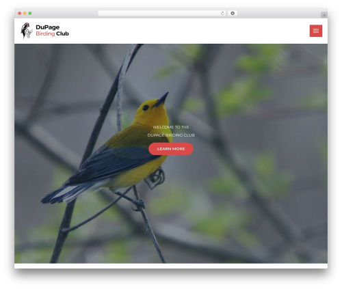 Astra portfolio WordPress plugin - dupagebirding.org