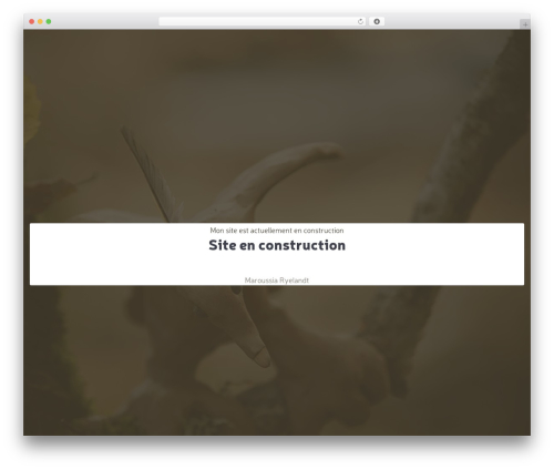 Grimlock animate WordPress plugin - maroussia.be