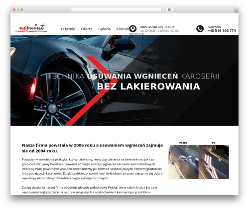 PureCss.io BASIC THEME WordPress theme design - nopaint.pl