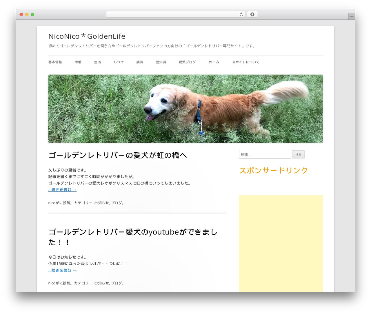 Tiny Forge WP theme - golden-retlover.com Tiny Forge WP theme - golden-retlover.com