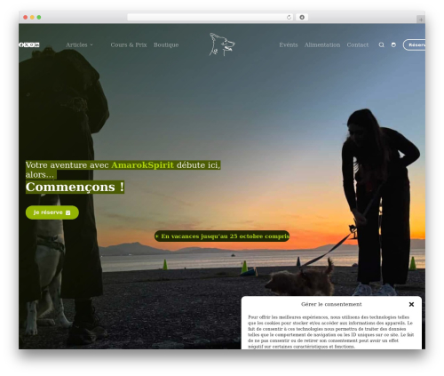 Wp social ninja pro WordPress plugin - amarokspirit.ch