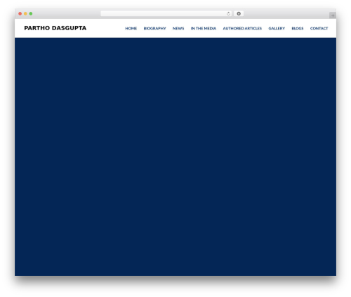 Timeline awesome WordPress plugin - parthodasgupta.com