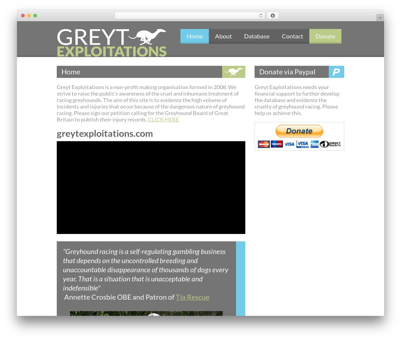 WordPress theme Greyt Exploitations - greytexploitations-greyhound-data.com WordPress theme Greyt Exploitations - greytexploitations-greyhound-data.com