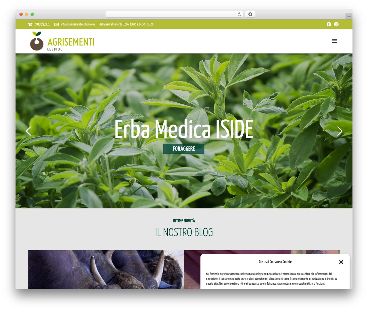WordPress theme jupiter - agrisementilebbioli.com WordPress theme jupiter - agrisementilebbioli.com