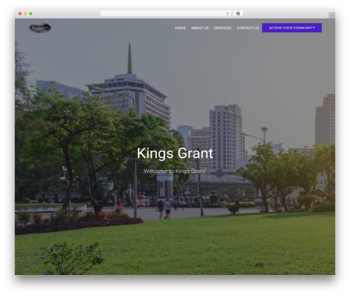 Gi options WordPress plugin - kingsgrantcarmel.com