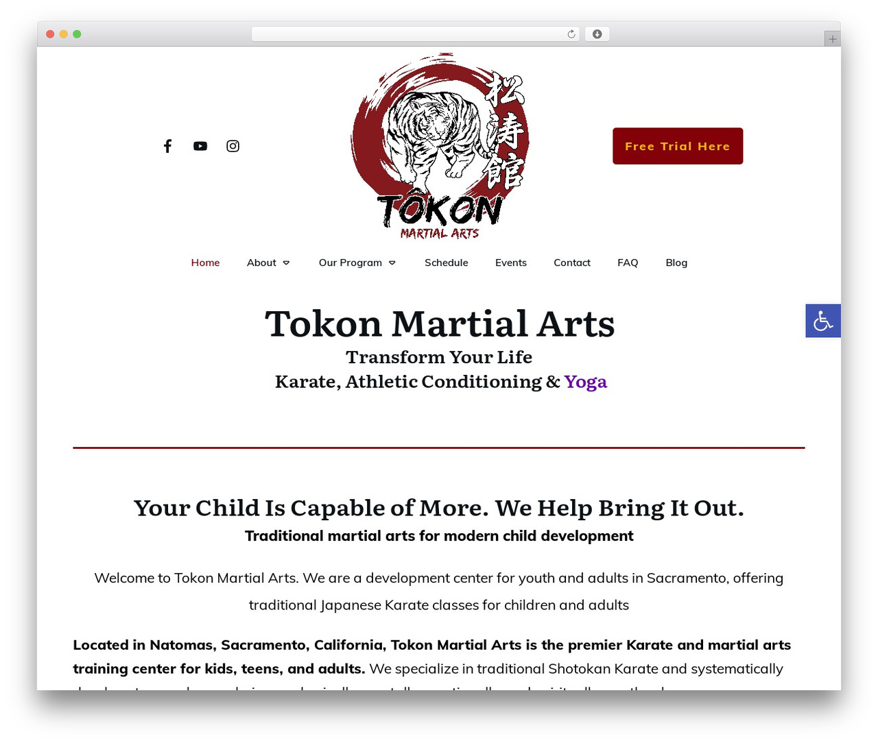 Thrive Theme Builder WordPress theme design - tokonsacramento.com Thrive Theme Builder WordPress theme design - tokonsacramento.com