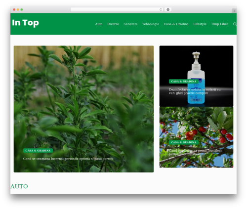 Custom footer main WordPress plugin - in-top.ro