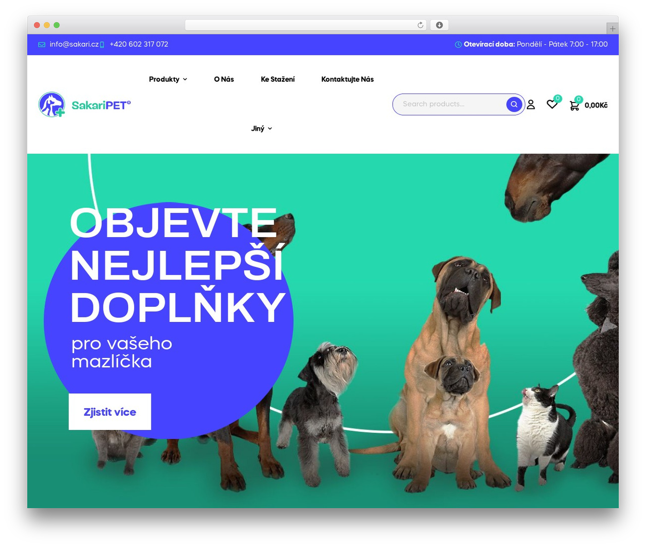 Ziggy Child WordPress theme - sakaripet.cz