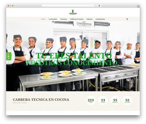 Elfsight contact form cc WordPress plugin - escuelachefcaparroso.edu.co