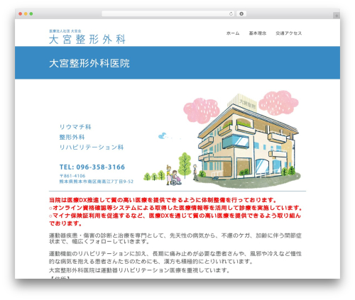 Best WordPress theme Simple Wordpress Theme - omiyasg.com