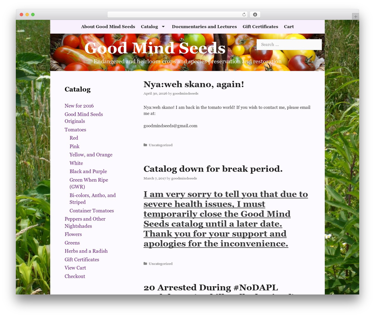 GeneratePress WordPress theme - goodmindseeds.org