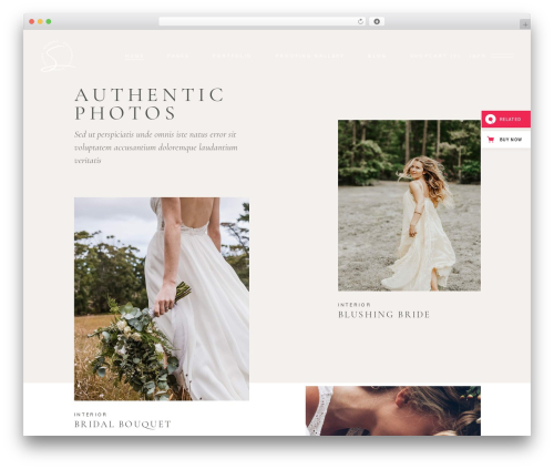Solene core WordPress plugin - solene.qodeinteractive.com