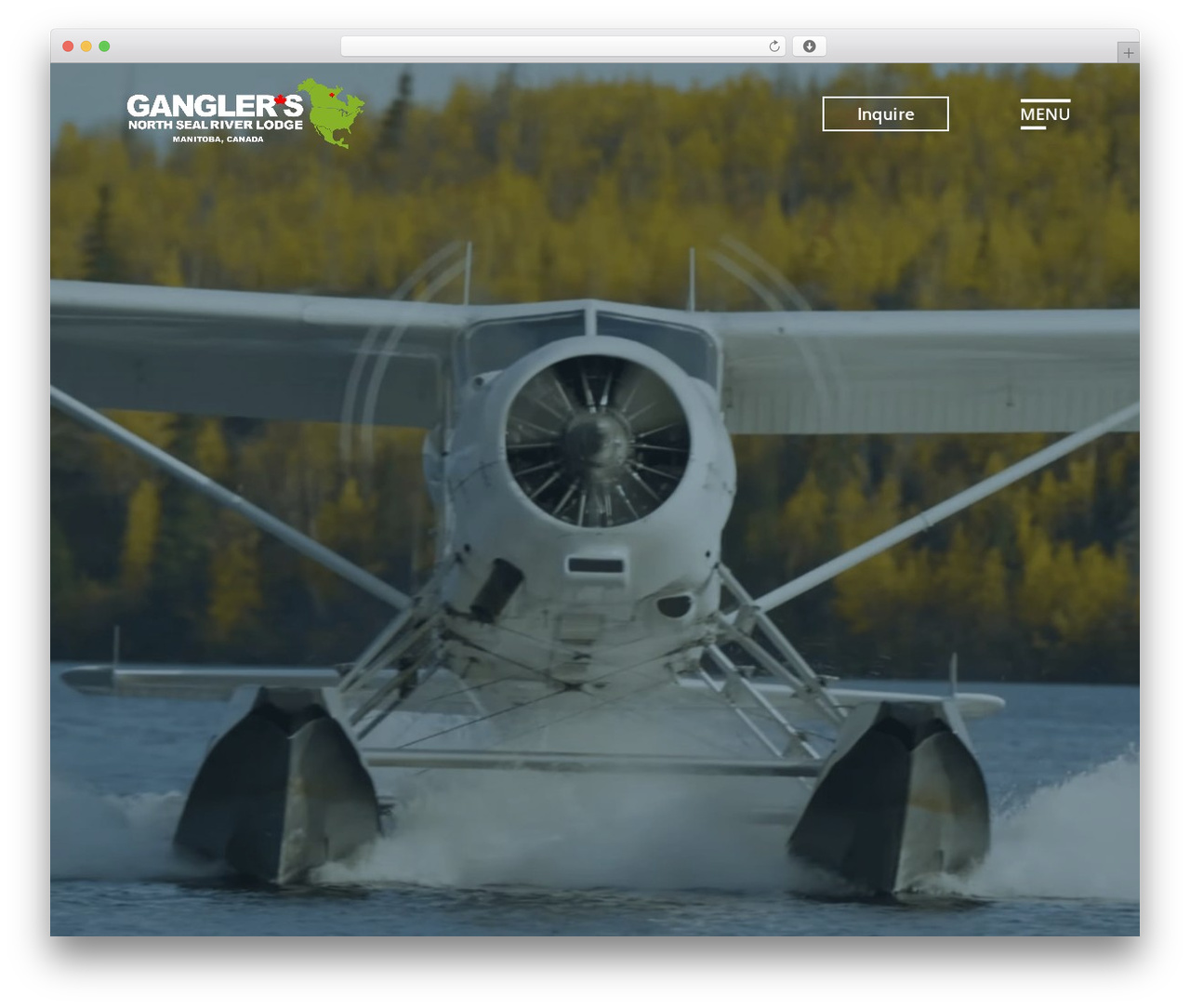 thirdwave WordPress theme - ganglers.com