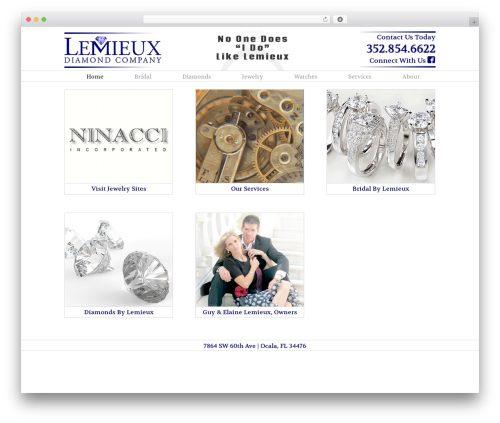 WordPress theme theme1791 - ocaladiamond.com
