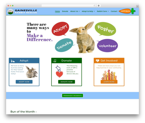 WordPress theme Bootstrap Basic - Child - gainesvillerabbitrescue.org