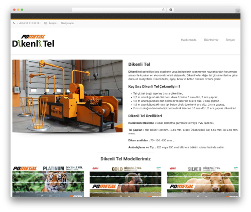 WordPress theme Envision - dikenlitel.net
