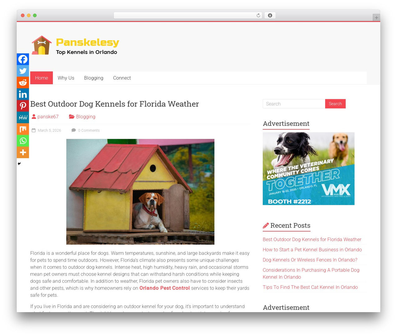 Accelerate theme WordPress - panskelesy.com Accelerate theme WordPress - panskelesy.com
