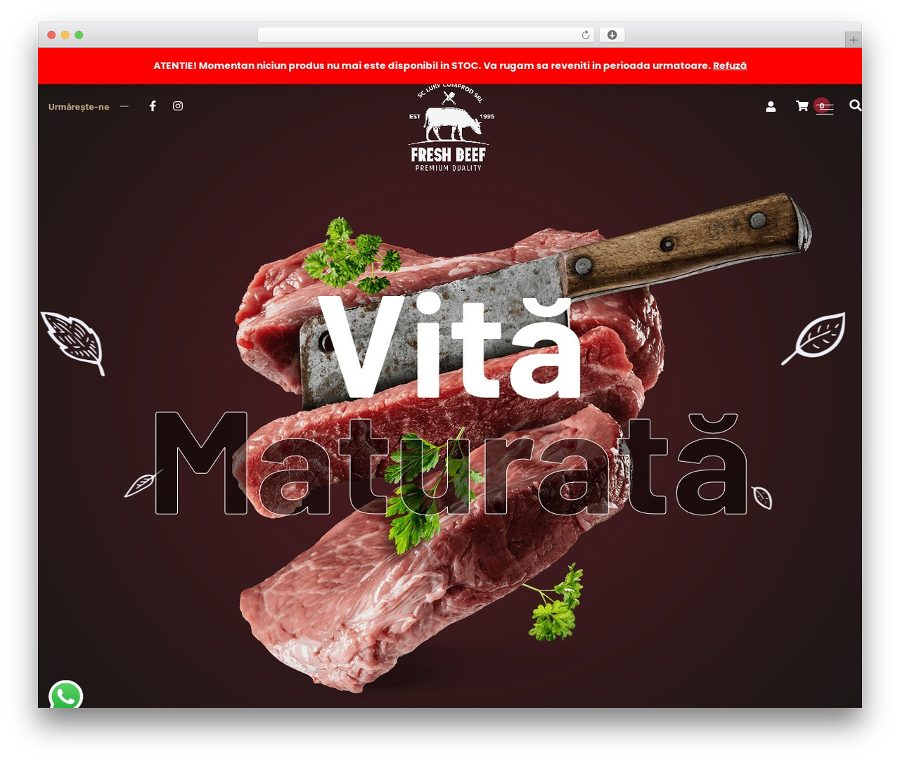 Bubulla WordPress theme - vitamaturata.ro Bubulla WordPress theme - vitamaturata.ro
