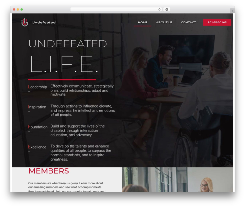 Child Theme for Customization WordPress theme design - undefeatednpo.com