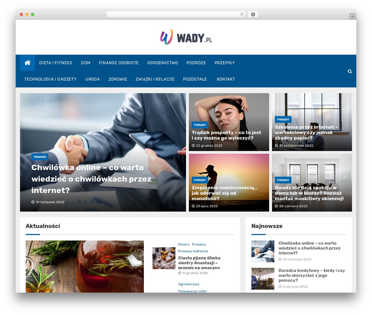 Docile Plus WordPress theme - wady.pl