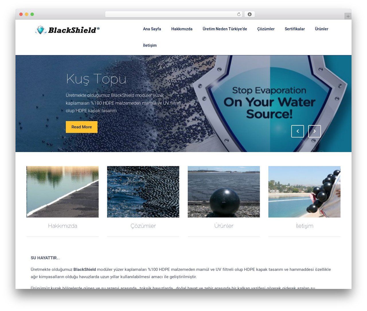 Multi Mobile App WordPress theme design - kustopu.net Multi Mobile App WordPress theme design - kustopu.net
