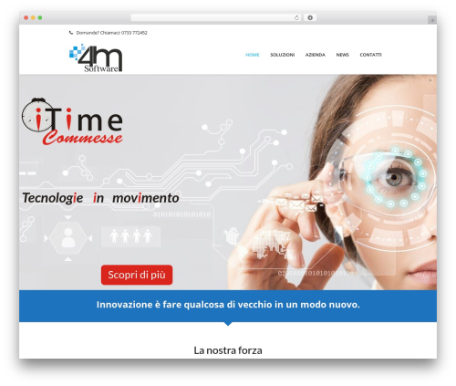 Buddhathemes core features WordPress plugin - 4msoftware.it