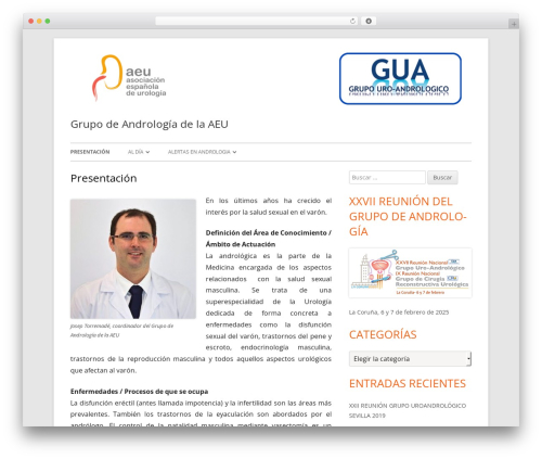 Tiny Framework WordPress theme free download - gua.aeu.es