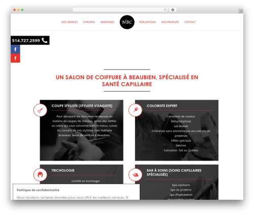 Contact mobile WordPress plugin - nathaliebrosseaucoiffure.ca