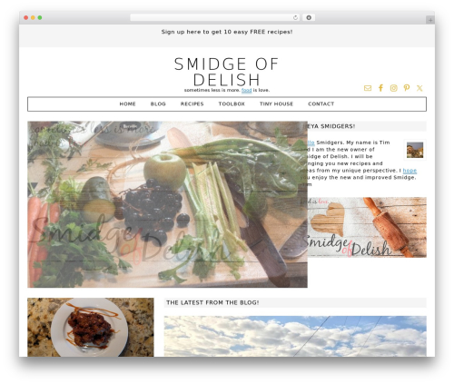 WordPress theme Fun WordPress Theme - smidgeofdelish.com
