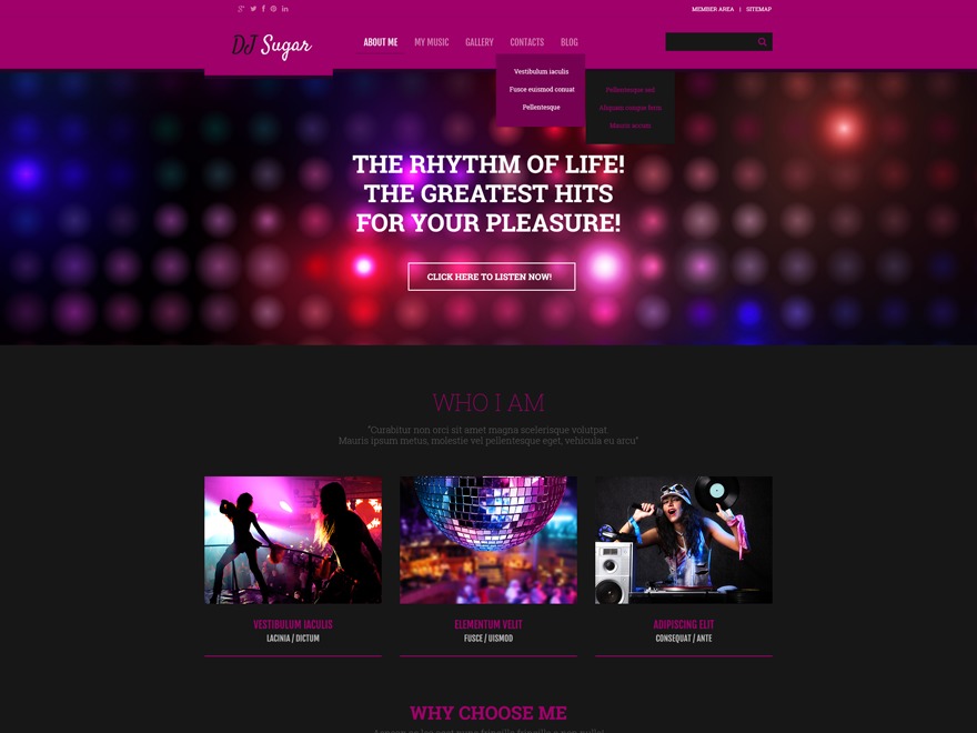 Best WordPress theme theme54790 Best WordPress theme theme54790