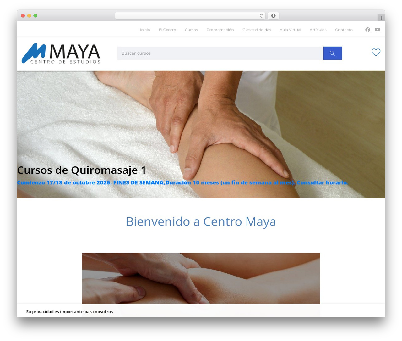 Master Study Child WP theme - centro-maya.com Master Study Child WP theme - centro-maya.com