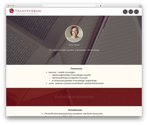my-theme theme WordPress - transverbum.pl