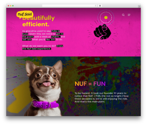 Fastmediagallery WordPress plugin - nufsaid.com