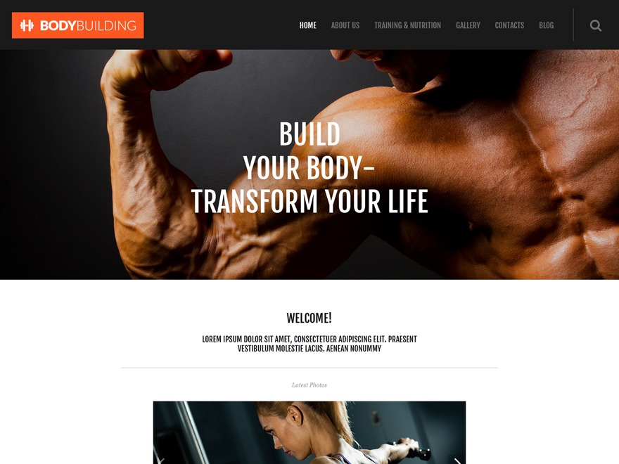 theme55028 WordPress theme