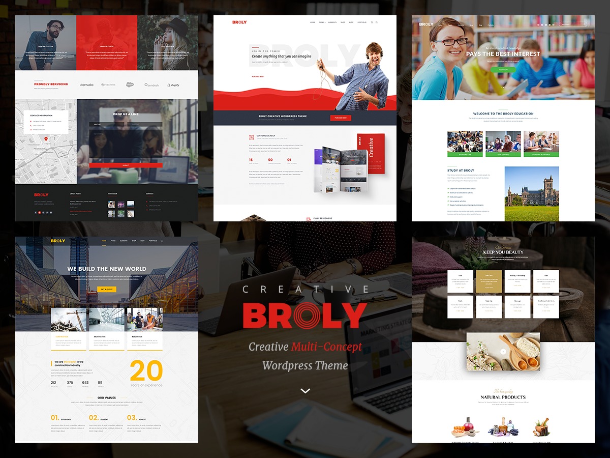 WordPress theme Broly WordPress theme Broly