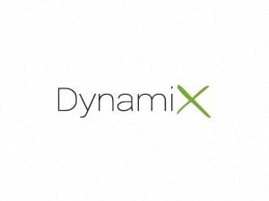 WP theme DynamiX WP theme DynamiX