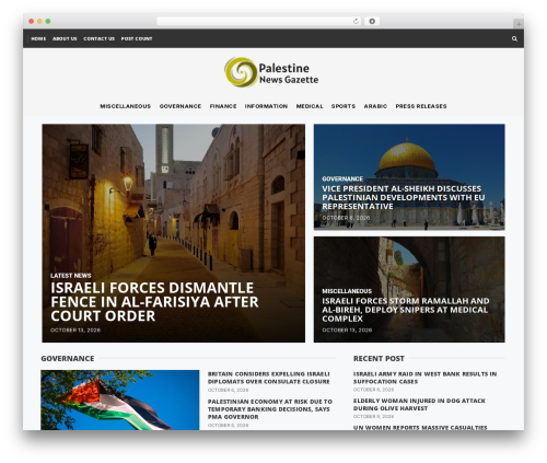 Elementor pro off WordPress plugin - palestinenewsgazette.com
