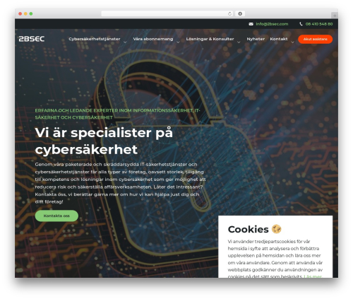 2bsec WordPress theme - 2bsec.com