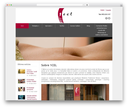 Google maps ready WordPress plugin - 1cel.cat