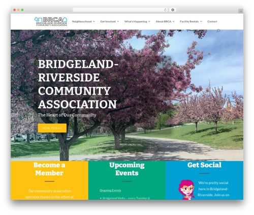Eventin Divi Addon (eventin-divi-addon) free WordPress plugin - brcacalgary.org