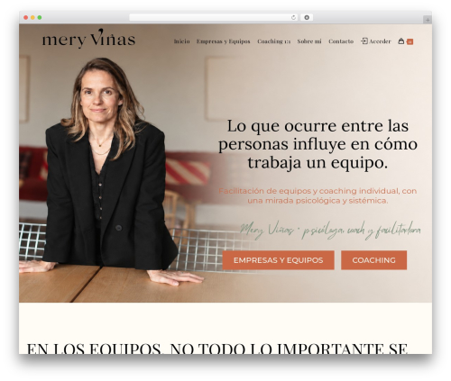 Elementor pro 3 WordPress plugin - meryvinas.com