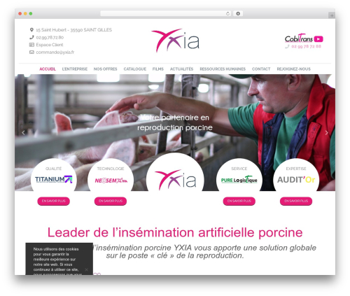 Altitude slides WordPress plugin - yxia.fr