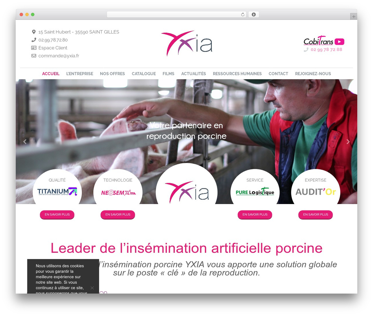 Altitude Base theme WordPress theme - yxia.fr