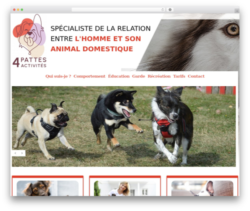 cherry theme WordPress - 4pattesactivites.fr